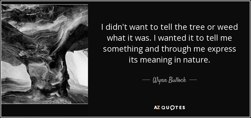 I didn't want to tell the tree or weed what it was. I wanted it to tell me something and through me express its meaning in nature. - Wynn Bullock