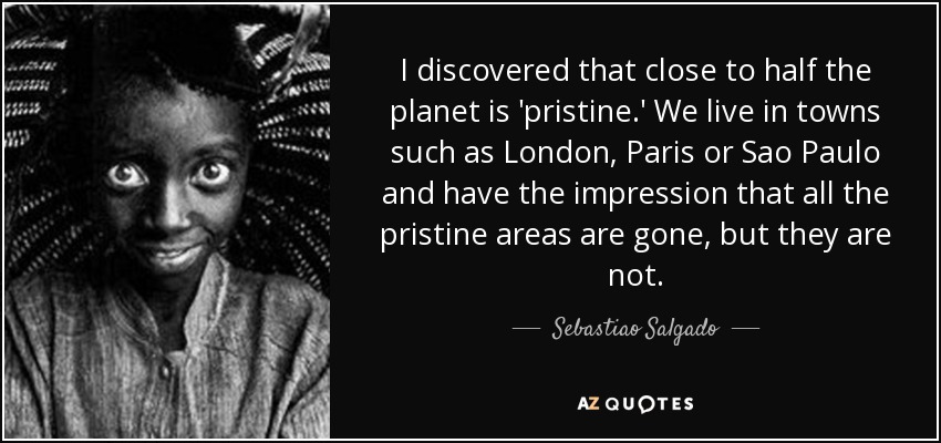I discovered that close to half the planet is 'pristine.' We live in towns such as London, Paris or Sao Paulo and have the impression that all the pristine areas are gone, but they are not. - Sebastiao Salgado