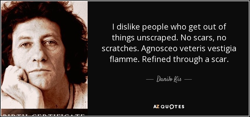 I dislike people who get out of things unscraped. No scars, no scratches. Agnosceo veteris vestigia flamme. Refined through a scar. - Danilo Kis