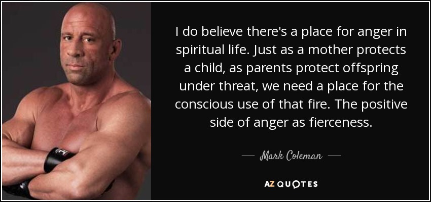 I do believe there's a place for anger in spiritual life. Just as a mother protects a child, as parents protect offspring under threat, we need a place for the conscious use of that fire. The positive side of anger as fierceness. - Mark Coleman
