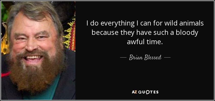 I do everything I can for wild animals because they have such a bloody awful time. - Brian Blessed