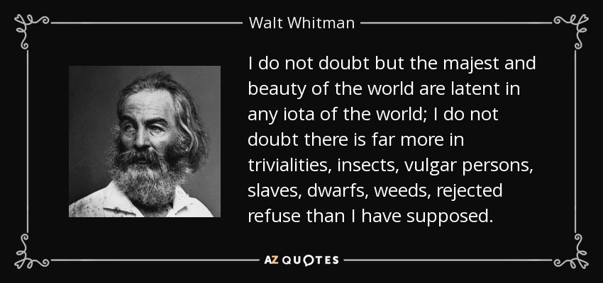 I do not doubt but the majest and beauty of the world are latent in any iota of the world; I do not doubt there is far more in trivialities, insects, vulgar persons, slaves, dwarfs, weeds, rejected refuse than I have supposed. - Walt Whitman