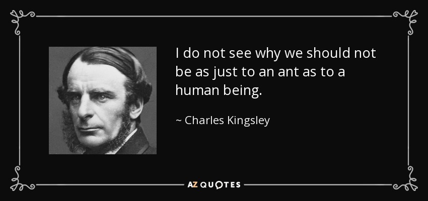 I do not see why we should not be as just to an ant as to a human being. - Charles Kingsley