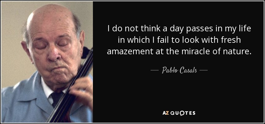 I do not think a day passes in my life in which I fail to look with fresh amazement at the miracle of nature. - Pablo Casals