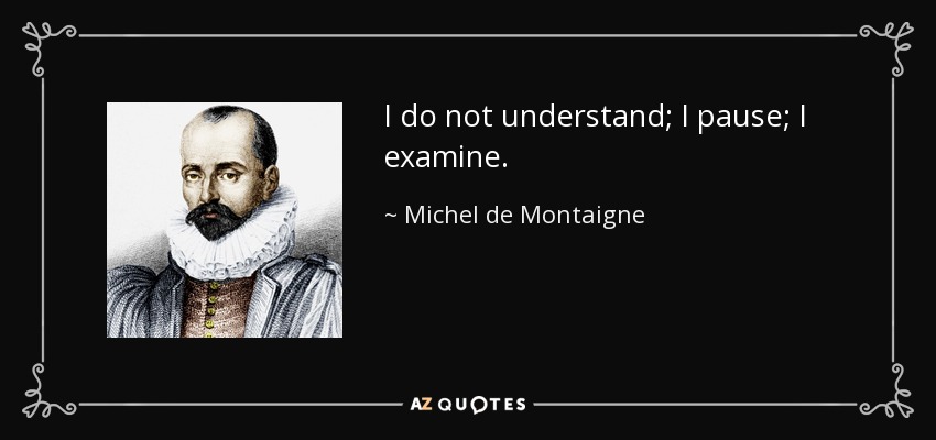 I do not understand; I pause; I examine. - Michel de Montaigne