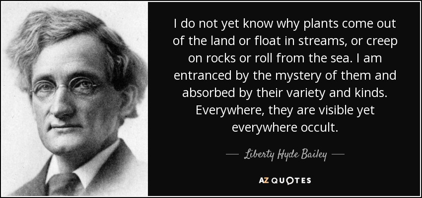 I do not yet know why plants come out of the land or float in streams, or creep on rocks or roll from the sea. I am entranced by the mystery of them and absorbed by their variety and kinds. Everywhere, they are visible yet everywhere occult. - Liberty Hyde Bailey