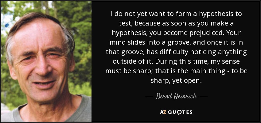 I do not yet want to form a hypothesis to test, because as soon as you make a hypothesis, you become prejudiced. Your mind slides into a groove, and once it is in that groove, has difficulty noticing anything outside of it. During this time, my sense must be sharp; that is the main thing - to be sharp, yet open. - Bernd Heinrich