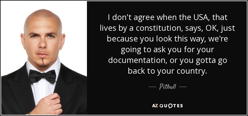 I don't agree when the USA, that lives by a constitution, says, OK, just because you look this way, we're going to ask you for your documentation, or you gotta go back to your country. - Pitbull