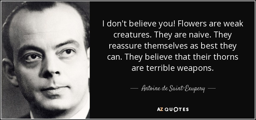 I don't believe you! Flowers are weak creatures. They are naive. They reassure themselves as best they can. They believe that their thorns are terrible weapons. - Antoine de Saint-Exupery