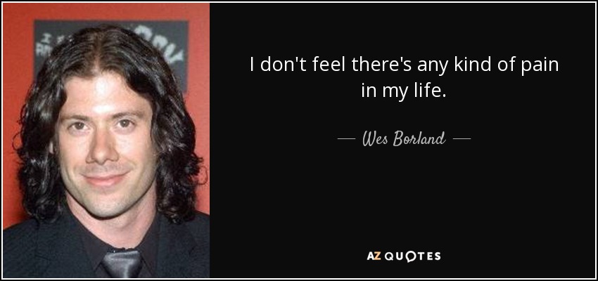 I don't feel there's any kind of pain in my life. - Wes Borland
