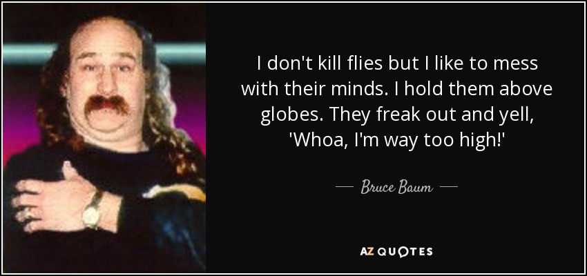 I don't kill flies but I like to mess with their minds. I hold them above globes. They freak out and yell, 'Whoa, I'm way too high!' - Bruce Baum