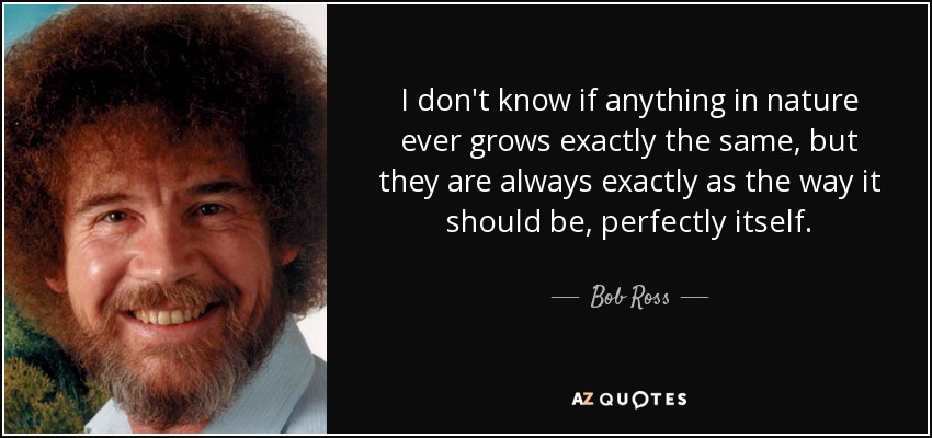 I don't know if anything in nature ever grows exactly the same, but they are always exactly as the way it should be, perfectly itself. - Bob Ross