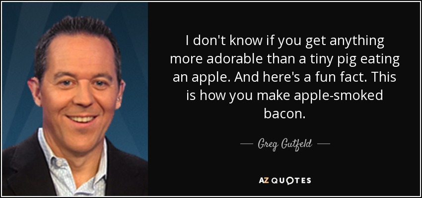 I don't know if you get anything more adorable than a tiny pig eating an apple. And here's a fun fact. This is how you make apple-smoked bacon. - Greg Gutfeld