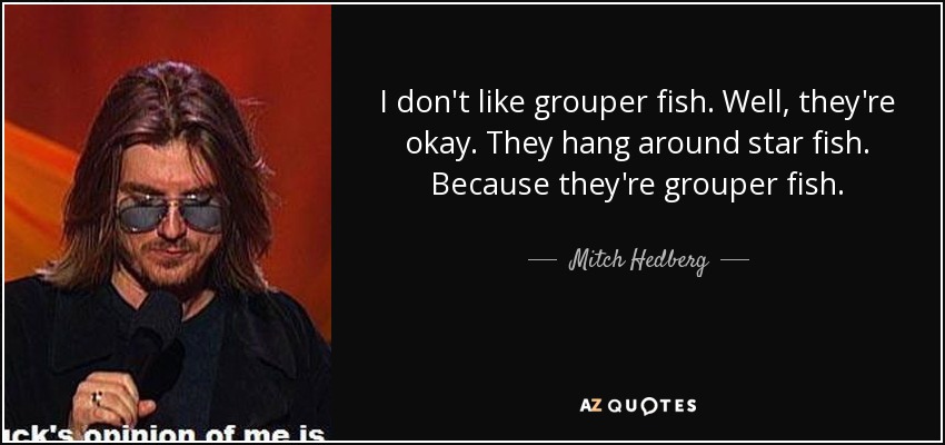 I don't like grouper fish. Well, they're okay. They hang around star fish. Because they're grouper fish. - Mitch Hedberg