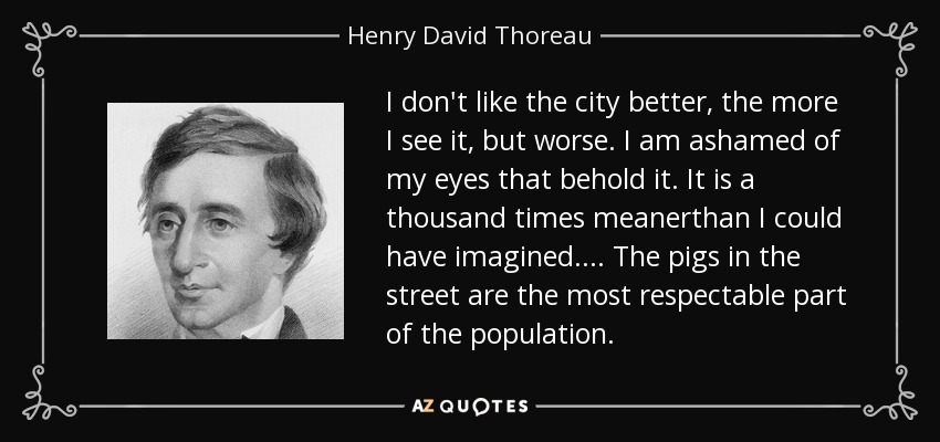 I don't like the city better, the more I see it, but worse. I am ashamed of my eyes that behold it. It is a thousand times meanerthan I could have imagined.... The pigs in the street are the most respectable part of the population. - Henry David Thoreau