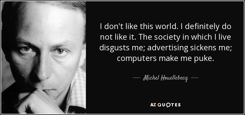 I don't like this world. I definitely do not like it. The society in which I live disgusts me; advertising sickens me; computers make me puke. - Michel Houellebecq