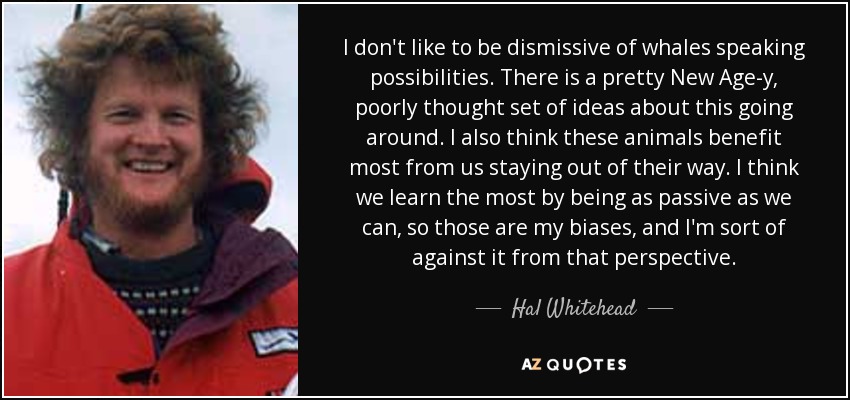 I don't like to be dismissive of whales speaking possibilities. There is a pretty New Age-y, poorly thought set of ideas about this going around. I also think these animals benefit most from us staying out of their way. I think we learn the most by being as passive as we can, so those are my biases, and I'm sort of against it from that perspective. - Hal Whitehead