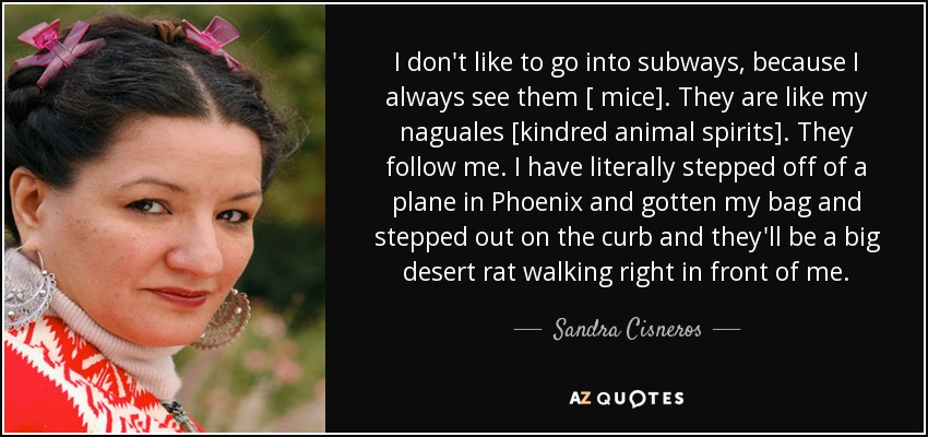 I don't like to go into subways, because I always see them [ mice]. They are like my naguales [kindred animal spirits]. They follow me. I have literally stepped off of a plane in Phoenix and gotten my bag and stepped out on the curb and they'll be a big desert rat walking right in front of me. - Sandra Cisneros