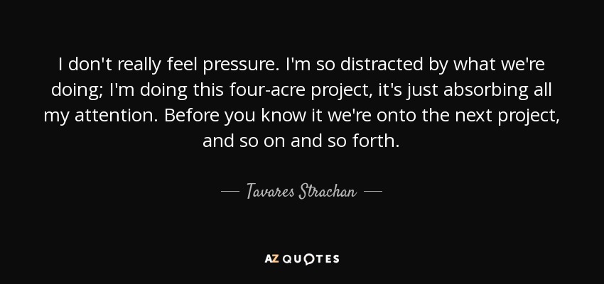 I don't really feel pressure. I'm so distracted by what we're doing; I'm doing this four-acre project, it's just absorbing all my attention. Before you know it we're onto the next project, and so on and so forth. - Tavares Strachan