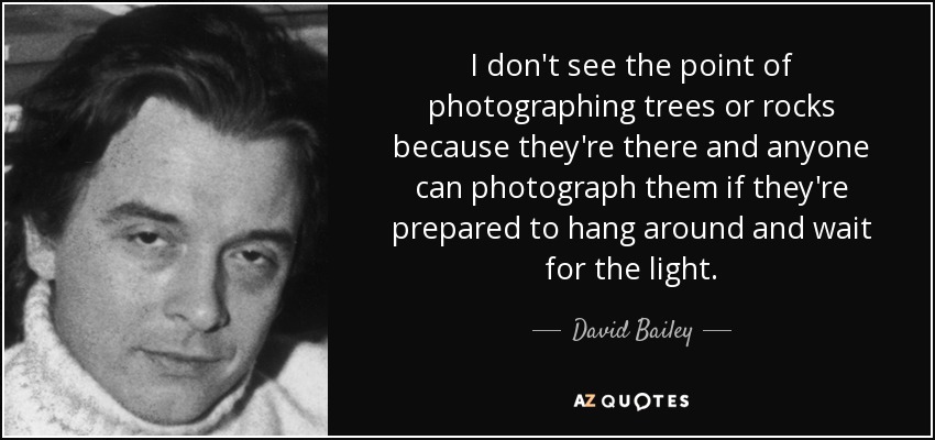 I don't see the point of photographing trees or rocks because they're there and anyone can photograph them if they're prepared to hang around and wait for the light. - David Bailey