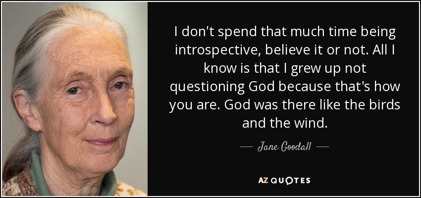 I don't spend that much time being introspective, believe it or not. All I know is that I grew up not questioning God because that's how you are. God was there like the birds and the wind. - Jane Goodall