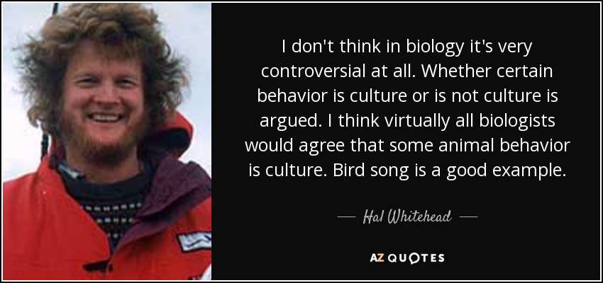 I don't think in biology it's very controversial at all. Whether certain behavior is culture or is not culture is argued. I think virtually all biologists would agree that some animal behavior is culture. Bird song is a good example. - Hal Whitehead