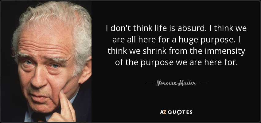 I don't think life is absurd. I think we are all here for a huge purpose. I think we shrink from the immensity of the purpose we are here for. - Norman Mailer