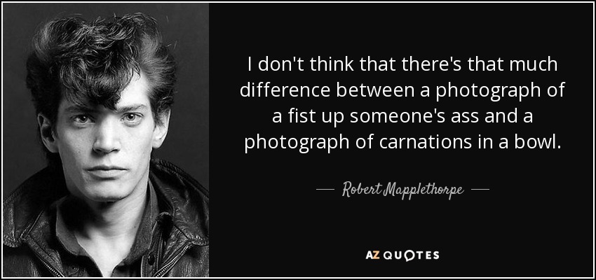 I don't think that there's that much difference between a photograph of a fist up someone's ass and a photograph of carnations in a bowl. - Robert Mapplethorpe