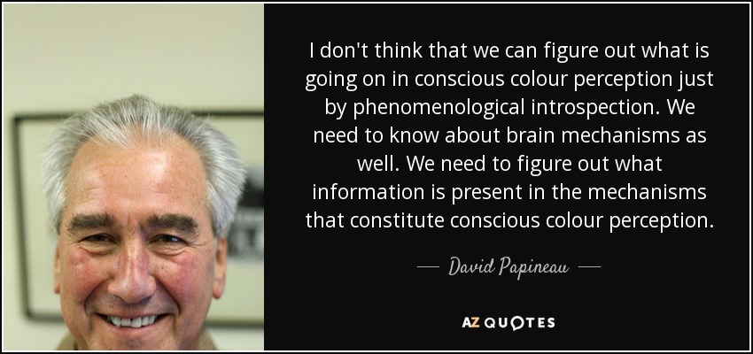 I don't think that we can figure out what is going on in conscious colour perception just by phenomenological introspection. We need to know about brain mechanisms as well. We need to figure out what information is present in the mechanisms that constitute conscious colour perception. - David Papineau