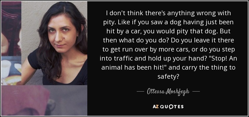 I don't think there's anything wrong with pity. Like if you saw a dog having just been hit by a car, you would pity that dog. But then what do you do? Do you leave it there to get run over by more cars, or do you step into traffic and hold up your hand? 