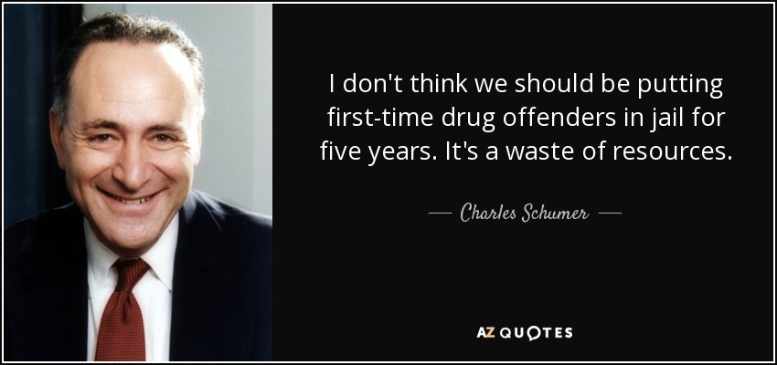 I don't think we should be putting first-time drug offenders in jail for five years. It's a waste of resources. - Charles Schumer