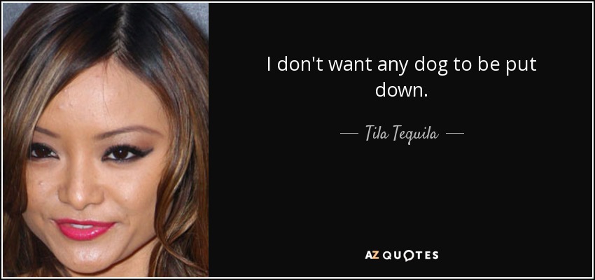 I don't want any dog to be put down. - Tila Tequila