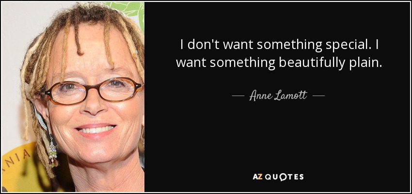 I don't want something special. I want something beautifully plain. - Anne Lamott