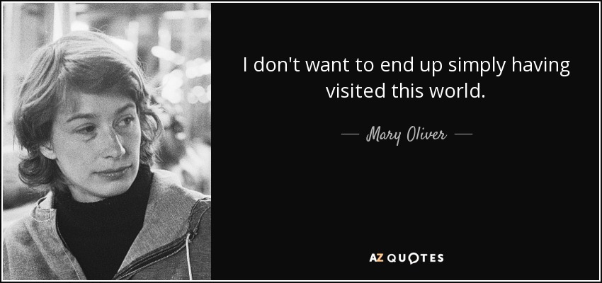 I don't want to end up simply having visited this world. - Mary Oliver