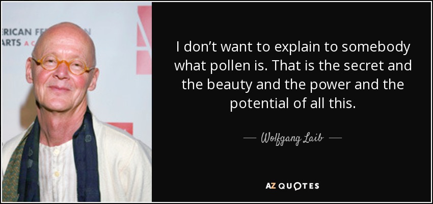 I don’t want to explain to somebody what pollen is. That is the secret and the beauty and the power and the potential of all this. - Wolfgang Laib