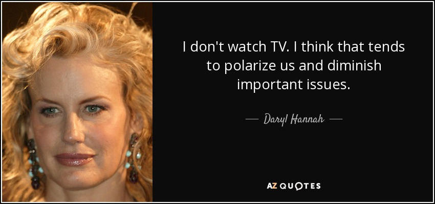 I don't watch TV. I think that tends to polarize us and diminish important issues. - Daryl Hannah