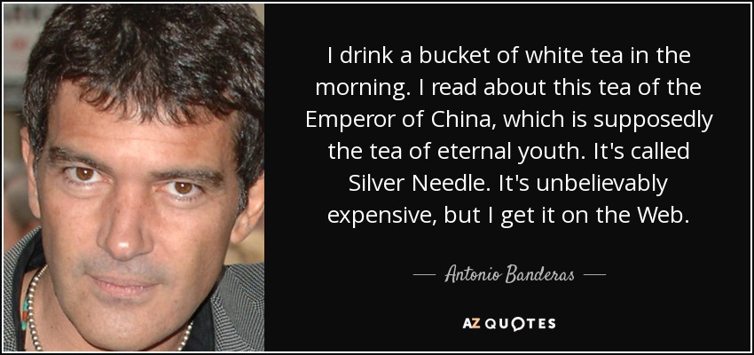 I drink a bucket of white tea in the morning. I read about this tea of the Emperor of China, which is supposedly the tea of eternal youth. It's called Silver Needle. It's unbelievably expensive, but I get it on the Web. - Antonio Banderas