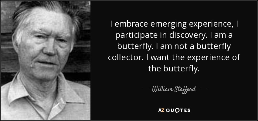 I embrace emerging experience, I participate in discovery. I am a butterfly. I am not a butterfly collector. I want the experience of the butterfly. - William Stafford