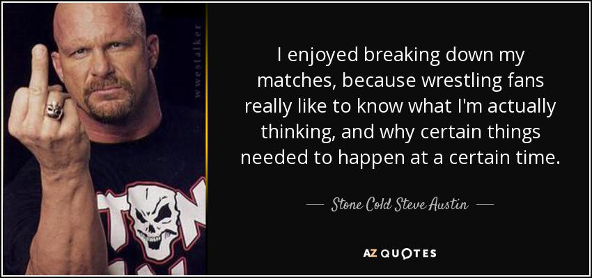 I enjoyed breaking down my matches, because wrestling fans really like to know what I'm actually thinking, and why certain things needed to happen at a certain time. - Stone Cold Steve Austin