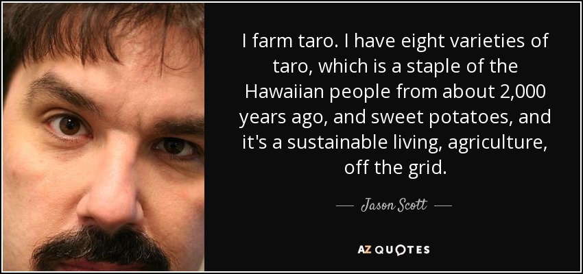 I farm taro. I have eight varieties of taro, which is a staple of the Hawaiian people from about 2,000 years ago, and sweet potatoes, and it's a sustainable living, agriculture, off the grid. - Jason Scott