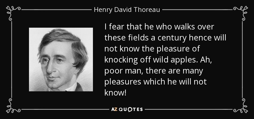 I fear that he who walks over these fields a century hence will not know the pleasure of knocking off wild apples. Ah, poor man, there are many pleasures which he will not know! - Henry David Thoreau