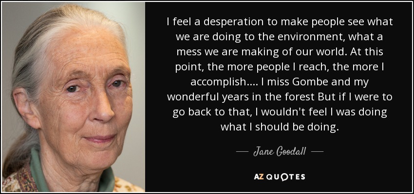 I feel a desperation to make people see what we are doing to the environment, what a mess we are making of our world. At this point, the more people I reach, the more I accomplish. ... I miss Gombe and my wonderful years in the forest But if I were to go back to that, I wouldn't feel I was doing what I should be doing. - Jane Goodall