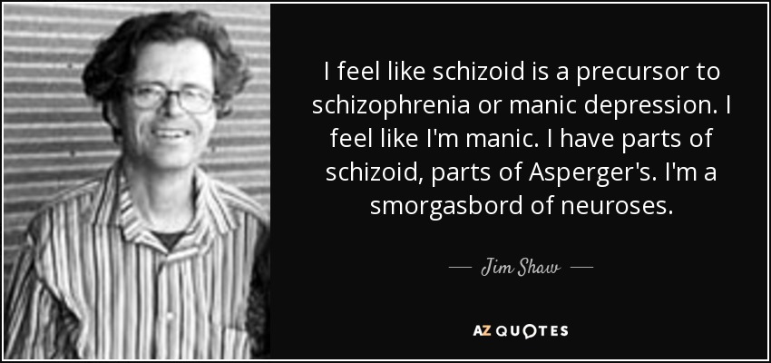 I feel like schizoid is a precursor to schizophrenia or manic depression. I feel like I'm manic. I have parts of schizoid, parts of Asperger's. I'm a smorgasbord of neuroses. - Jim Shaw