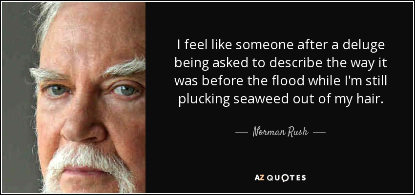 I feel like someone after a deluge being asked to describe the way it was before the flood while I'm still plucking seaweed out of my hair. - Norman Rush