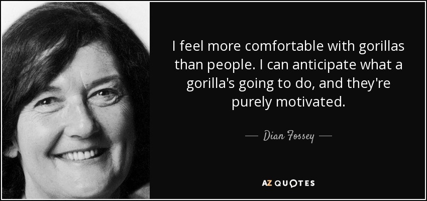 I feel more comfortable with gorillas than people. I can anticipate what a gorilla's going to do, and they're purely motivated. - Dian Fossey