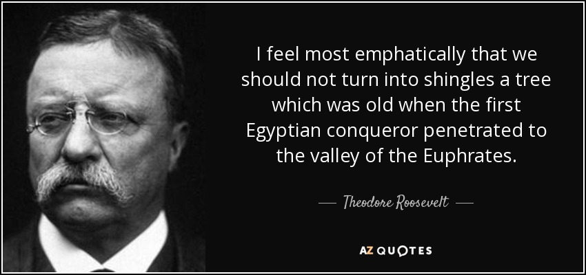 I feel most emphatically that we should not turn into shingles a tree which was old when the first Egyptian conqueror penetrated to the valley of the Euphrates. - Theodore Roosevelt