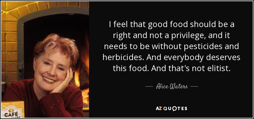 I feel that good food should be a right and not a privilege, and it needs to be without pesticides and herbicides. And everybody deserves this food. And that's not elitist. - Alice Waters