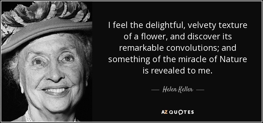 I feel the delightful, velvety texture of a flower, and discover its remarkable convolutions; and something of the miracle of Nature is revealed to me. - Helen Keller