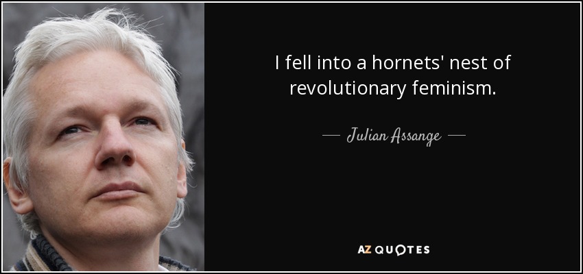 I fell into a hornets' nest of revolutionary feminism. - Julian Assange