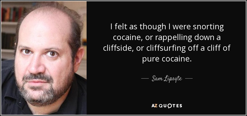 I felt as though I were snorting cocaine, or rappelling down a cliffside, or cliffsurfing off a cliff of pure cocaine. - Sam Lipsyte